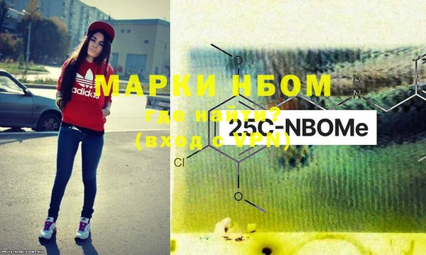 стаф Аркадак