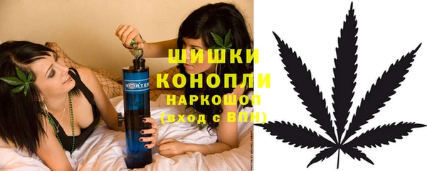 крисы Арсеньев