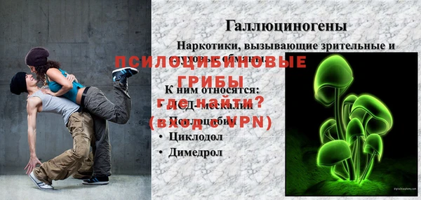 PSILOCYBIN Армянск