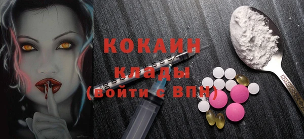 стаф Аркадак