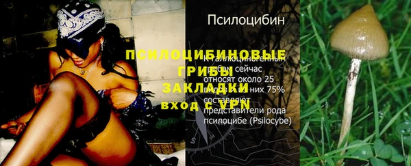 PSILOCYBIN Армянск
