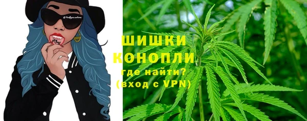 крисы Арсеньев