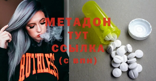 стаф Аркадак